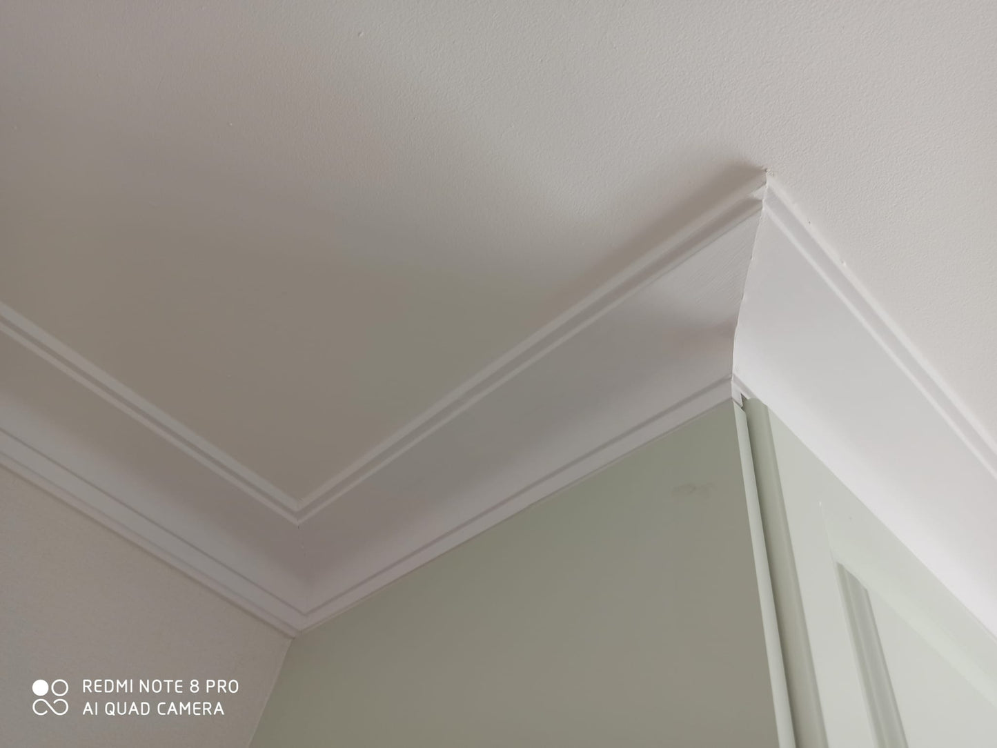 C3017 - Classic Coving
