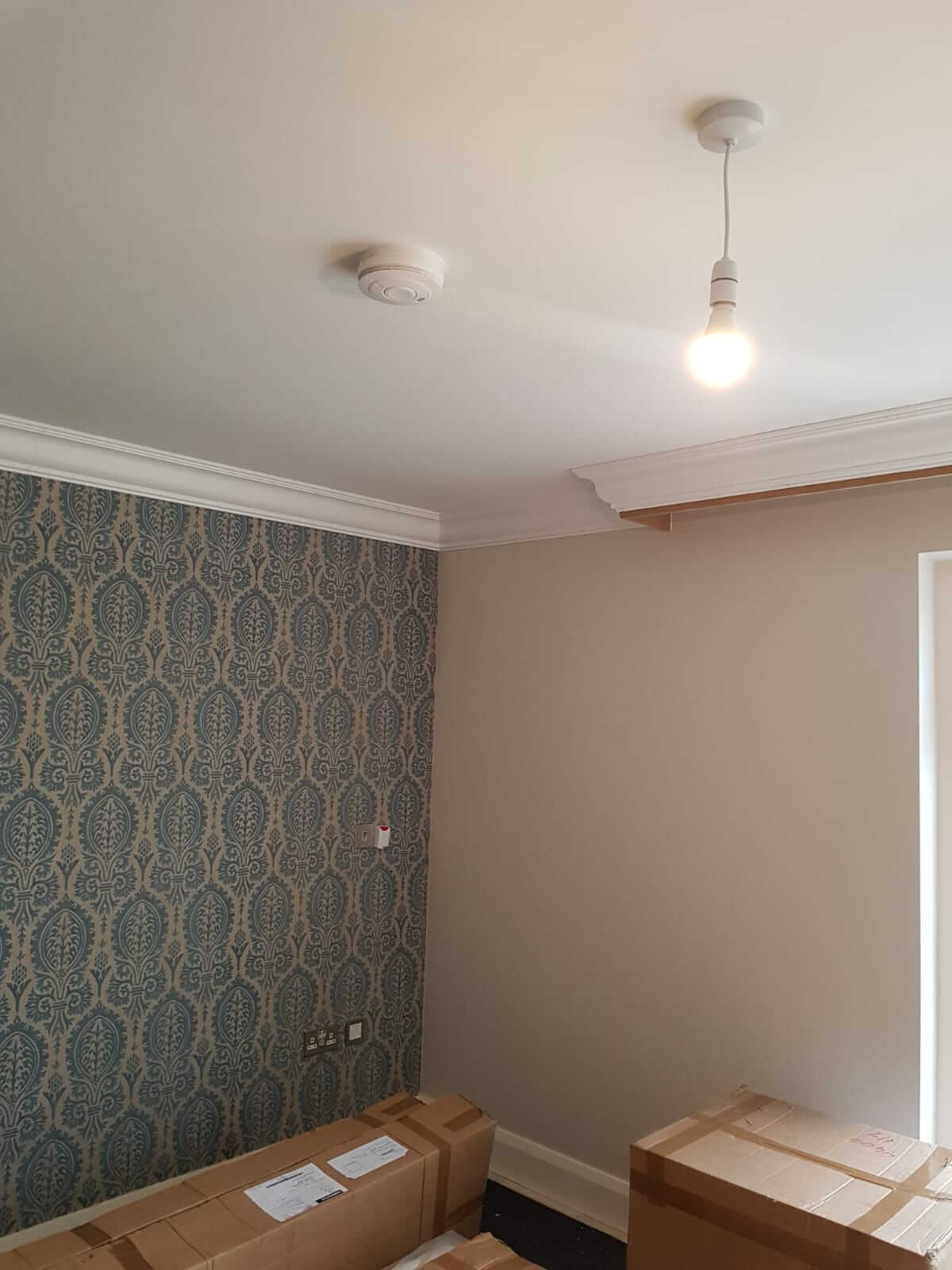 Charlotte - Modern Coving in a room with boxes