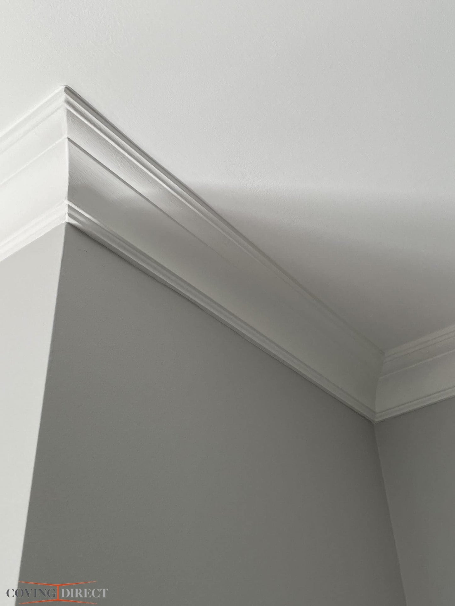 MD367 - Modern Coving closeup