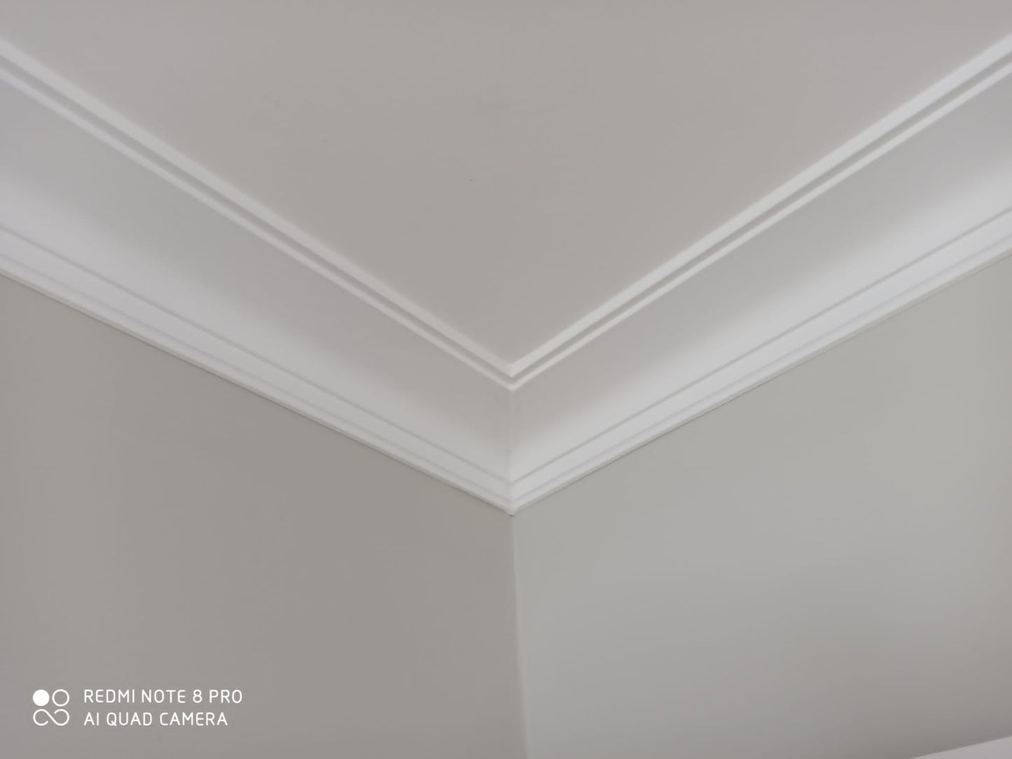 C3017 - Classic Coving