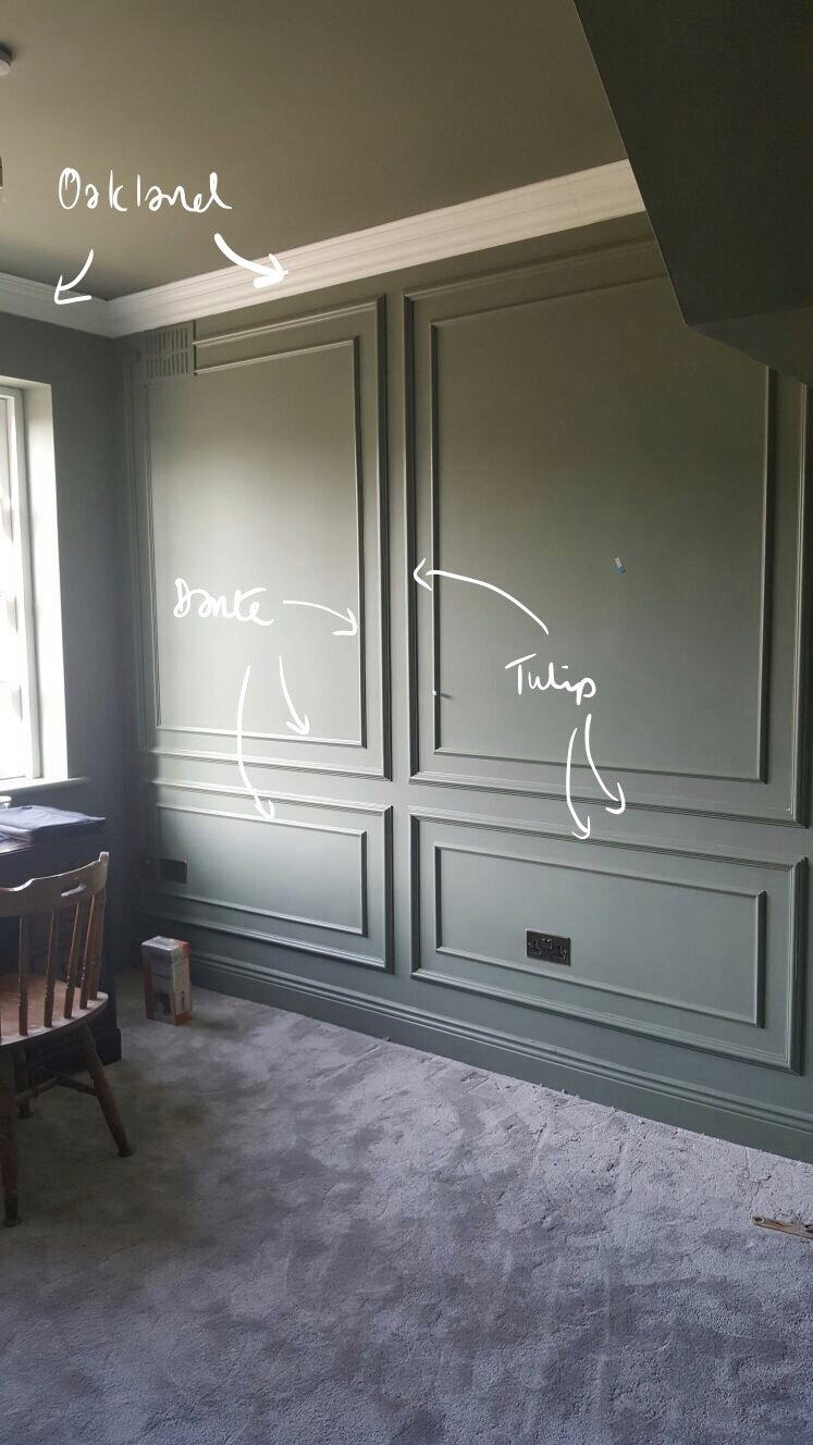 Oakland, Dante, and Tulip being used in room