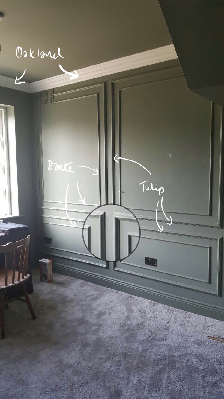 Dante and Tulip - Dado Rails installed in a room