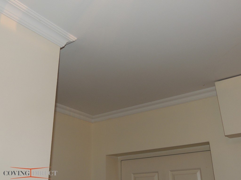 Orlando - Modern Coving closeup
