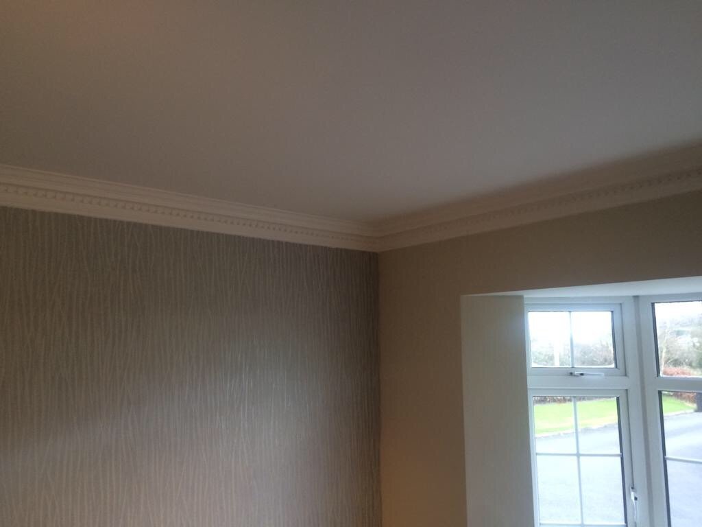 Dental (Large) - Classic Coving installed in an unfurnished room